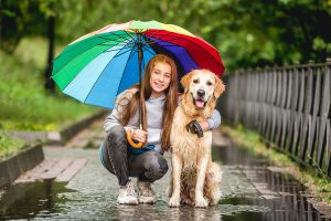 Addis Ababa Dog Owners: 5 Must-Know Tips for the Rainy Season
